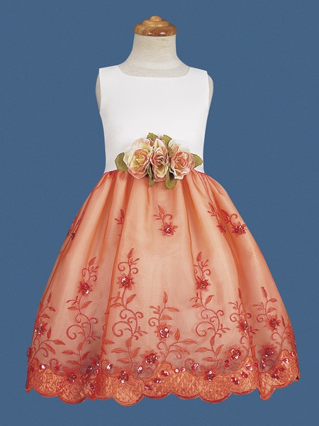 ������ ������� ��������� ������� (���������)