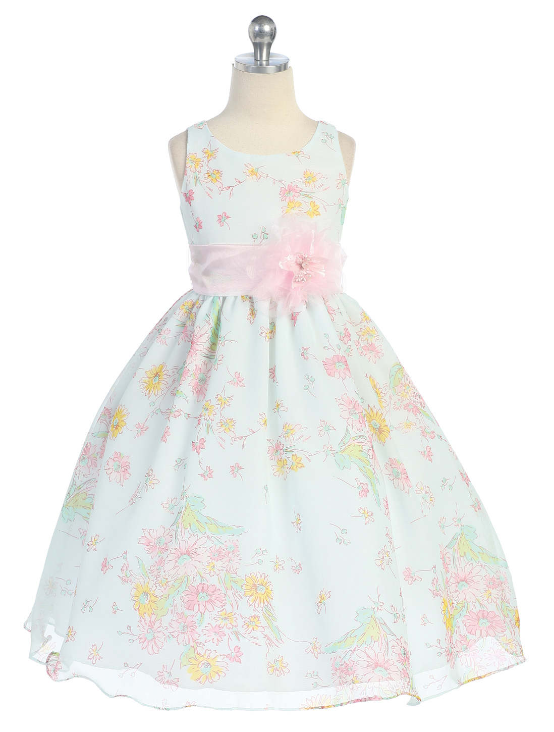 ������� ������ "�����"