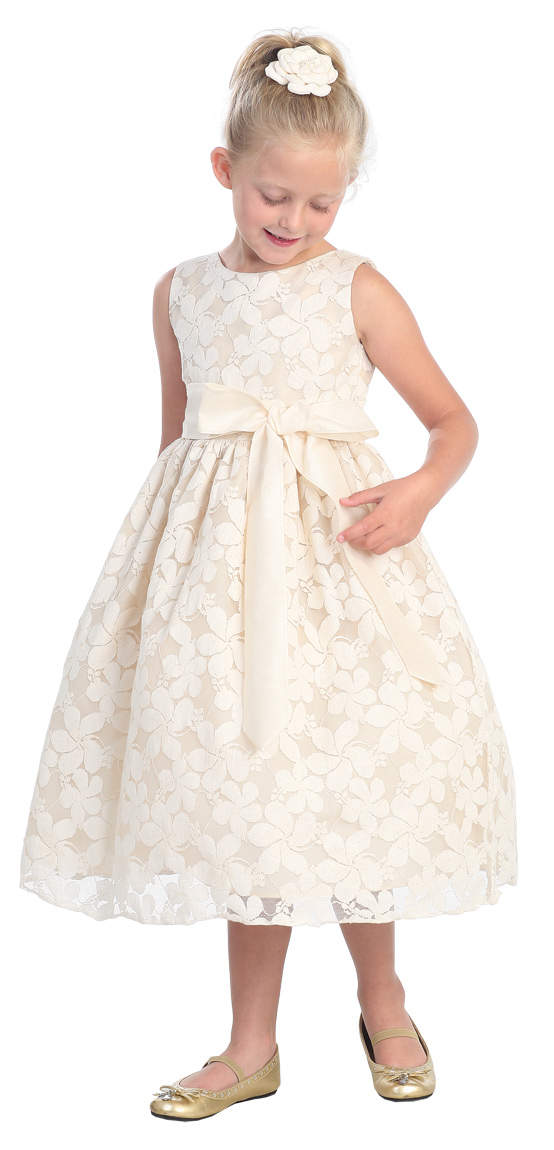 ������� ������ "�������� ��������"