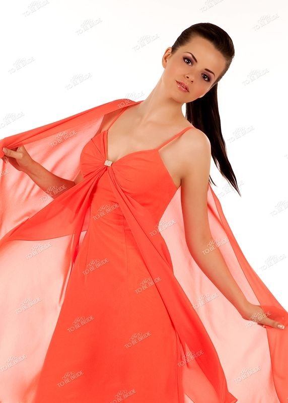 ����������� ������ "��������� ��������"