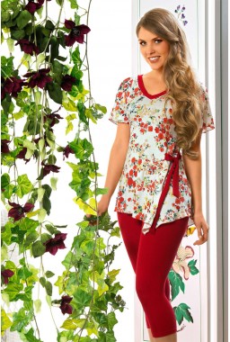 ������ � ������ (��������) �������