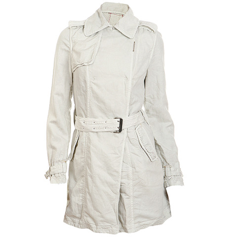 ������ sea shell