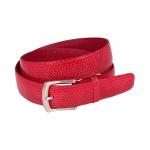 ������� ������� ������  �� ���� ������� ����