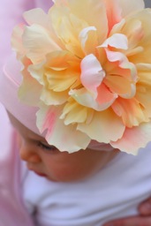 ������� �������� ����� � ������� ������ �������