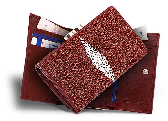 ������� ������� �� ���� ����� ���������� �����