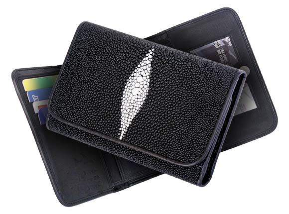 ������� ������� �� ���� �����