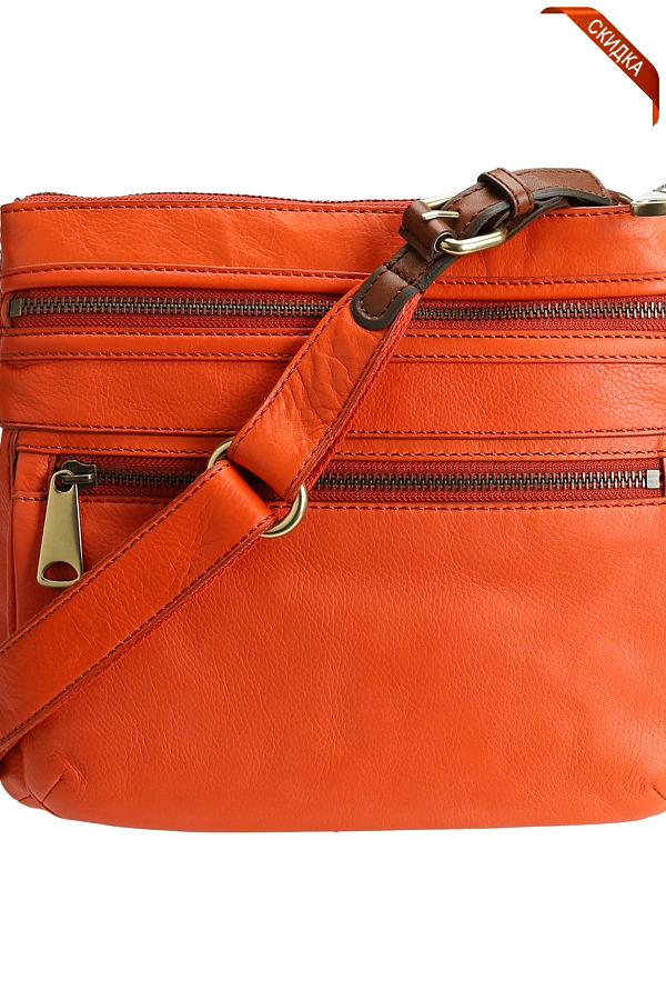 ���������� ���� ��������