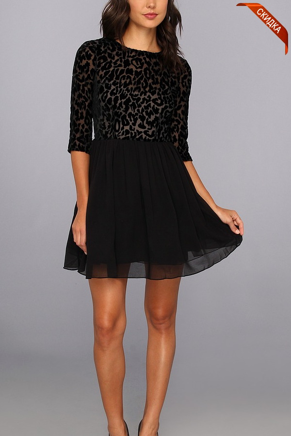 ������ ������ ����� ������  