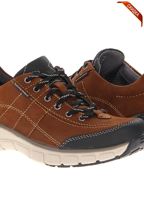 ������ ����� ���