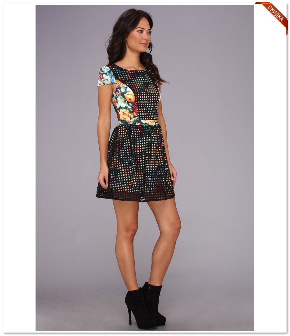 ���������� oryades  