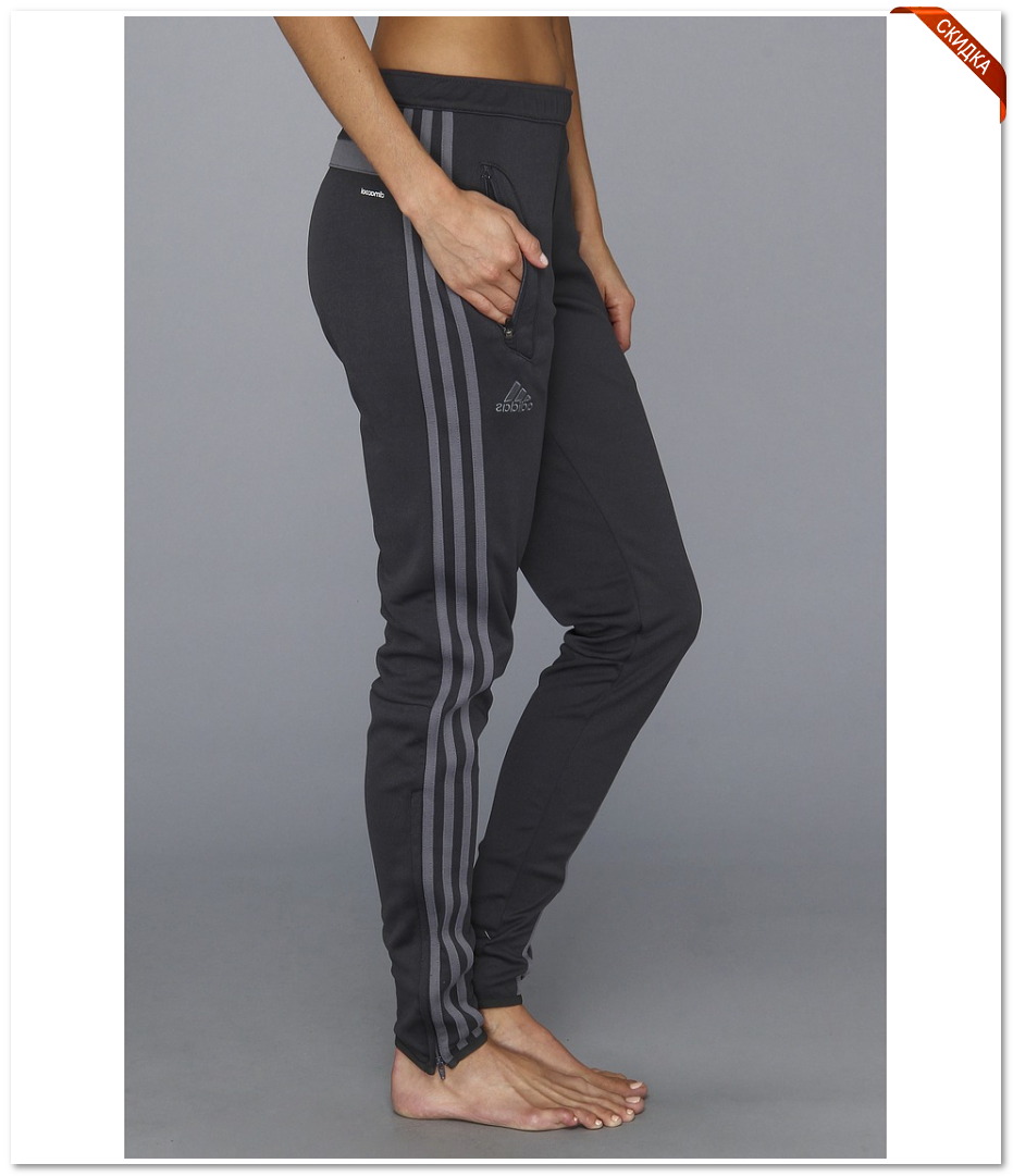 ������ ������ camel active