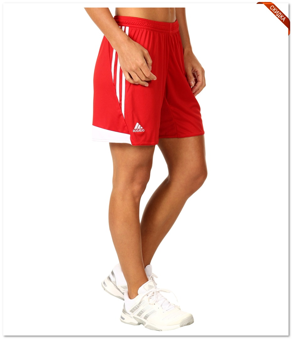 ������ ������ napapijri