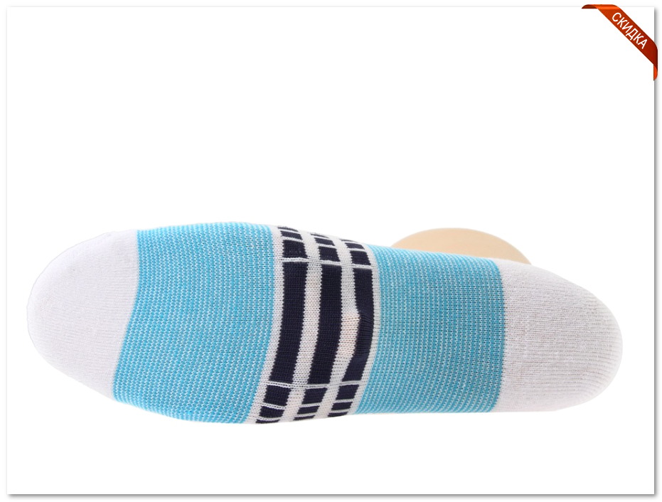 �������� ������� ����� polar adventure  