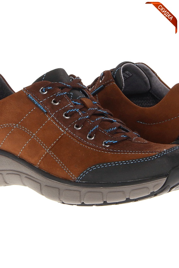 ���� ���� ������ 