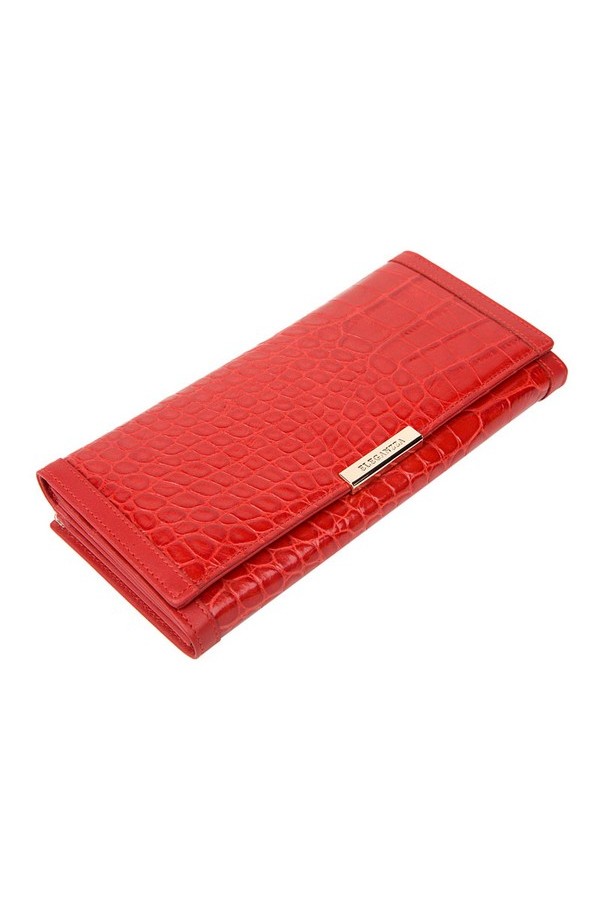 ZC-2588, ����: �������