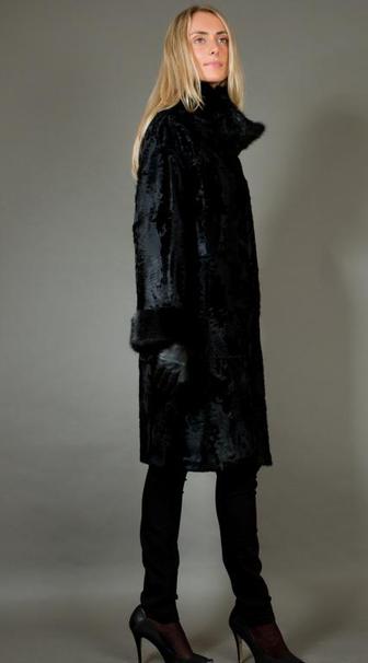 ������������ ���� �� ����������