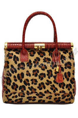 ����� �� ����������� ����