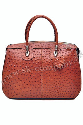 ����� �� ����������� ����