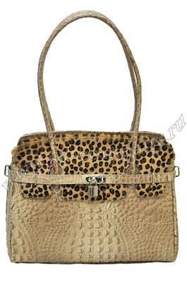 ����� �� ����������� ����