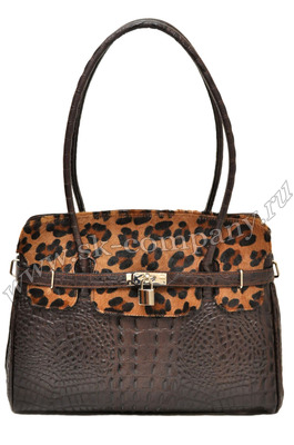 ����� �� ����������� ����