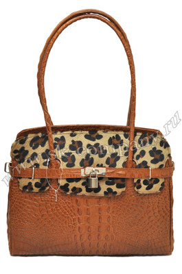 ����� �� ����������� ����