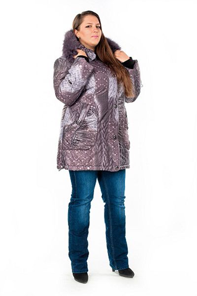 ������ ���� � ������������ �������� �������